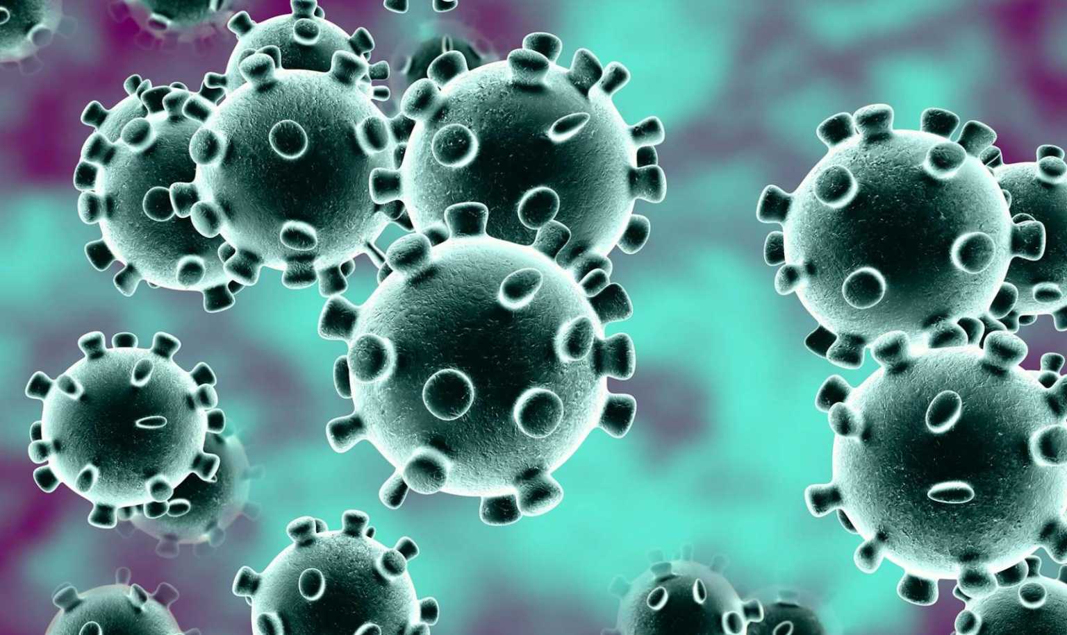 Haz de necaz… Coronavirus