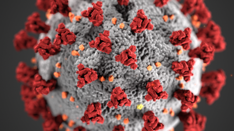 Solutie biocida dezvoltata de ICPE-CA in proiectul „Dispozitive de decontaminare impotriva virusului SARS-CoV-2”